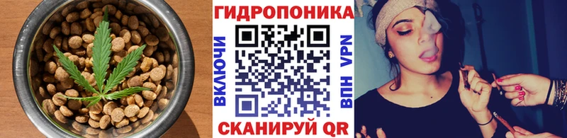 закладки  Новокузнецк  Печенье с ТГК конопля 