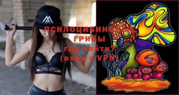 прущие грибы Кропоткин