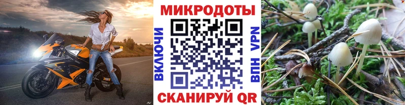 Псилоцибиновые грибы Cubensis  Новокузнецк 